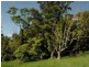 Millaa Millaa QLD 4886
