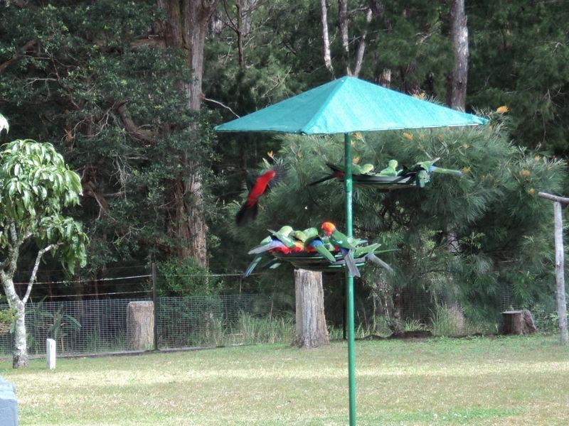 Wondecla QLD 4887