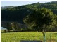 Yungaburra QLD 4884