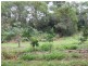 Yungaburra QLD 4884