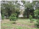 Yungaburra QLD 4884