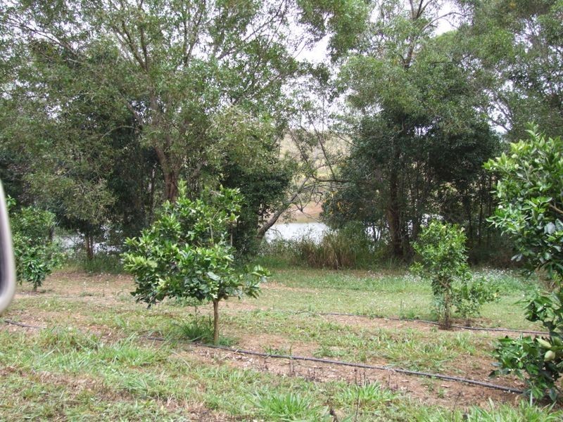 Yungaburra QLD 4884