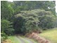 Yungaburra QLD 4884