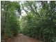 Yungaburra QLD 4884