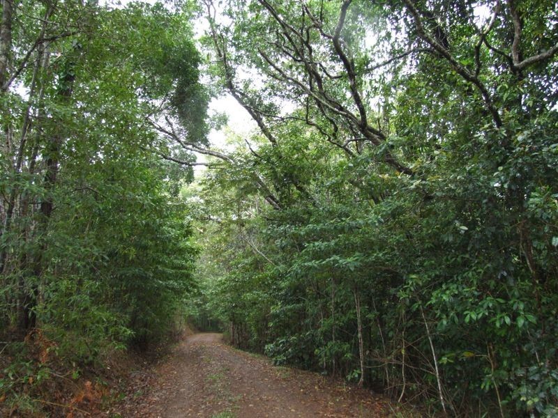 Yungaburra QLD 4884