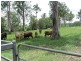 Upper Barron QLD 4883