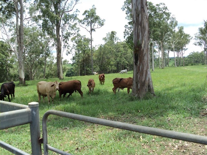 Upper Barron QLD 4883