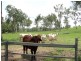 Upper Barron QLD 4883