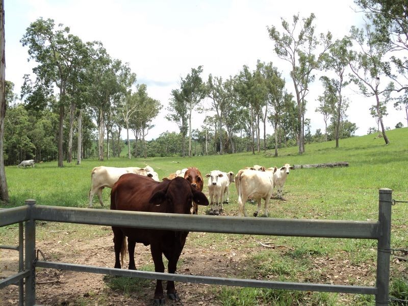 Upper Barron QLD 4883
