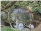 Upper Barron QLD 4883