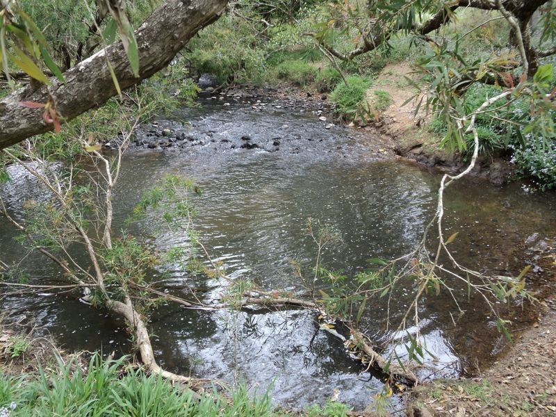 Upper Barron QLD 4883