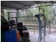 Upper Barron QLD 4883