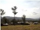 Tolga QLD 4882
