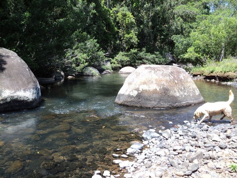 Millaa Millaa QLD 4886