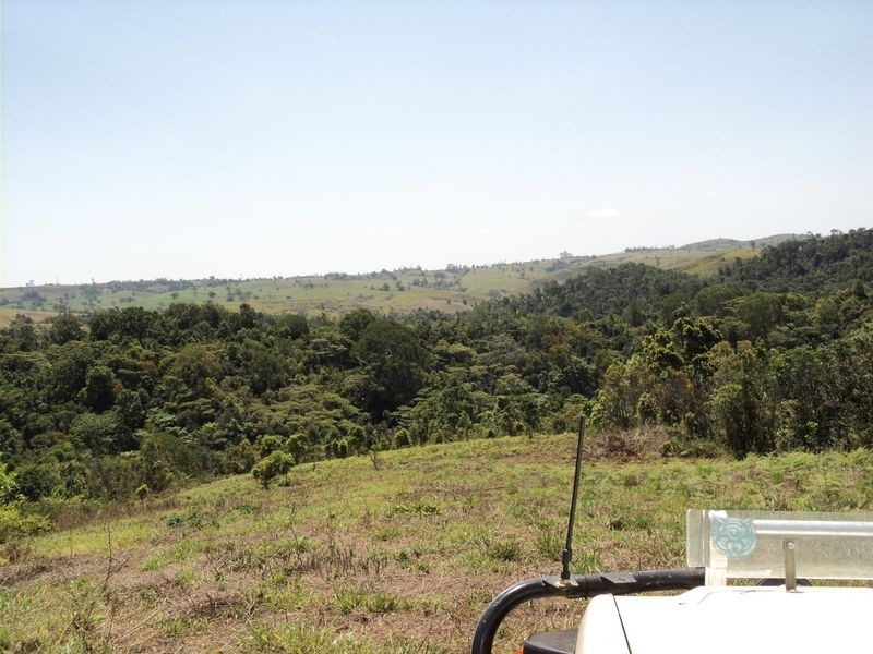 Millaa Millaa QLD 4886