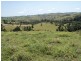 Millaa Millaa QLD 4886