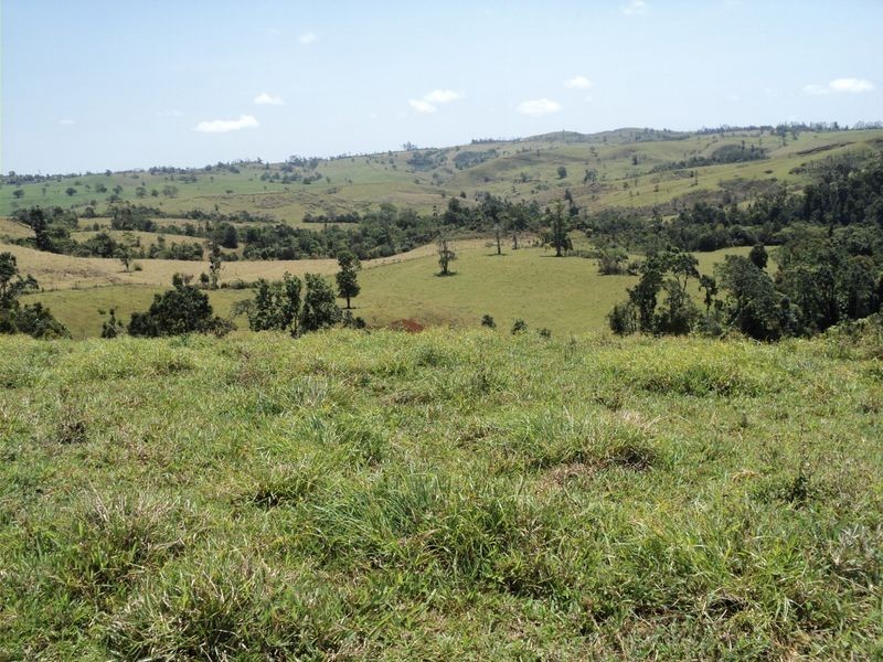 Millaa Millaa QLD 4886