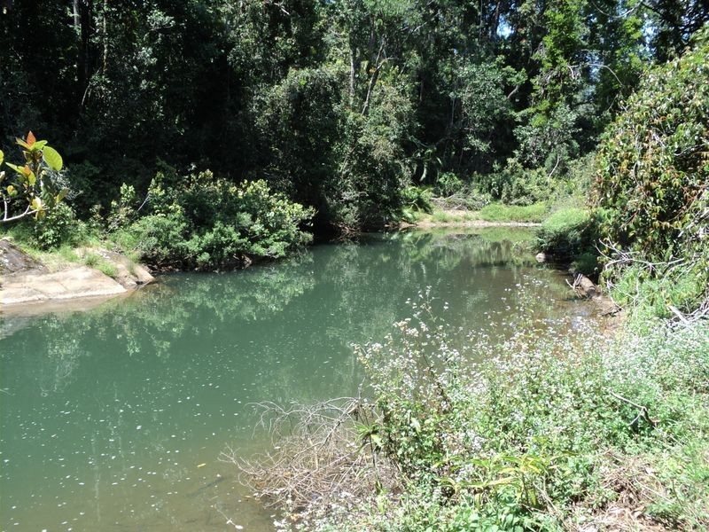 Millaa Millaa QLD 4886