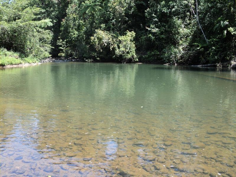Millaa Millaa QLD 4886