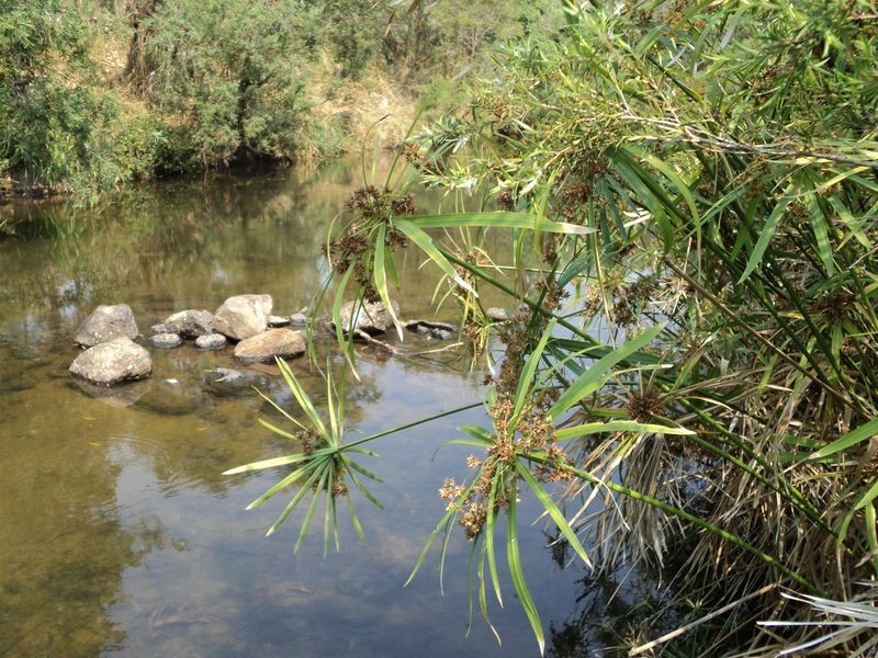 Lot 5 Martin Road, Mareeba QLD 4880
