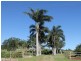 Atherton QLD 4883