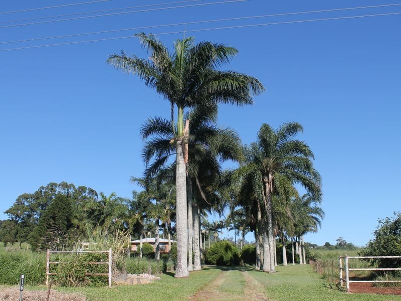 Atherton QLD 4883