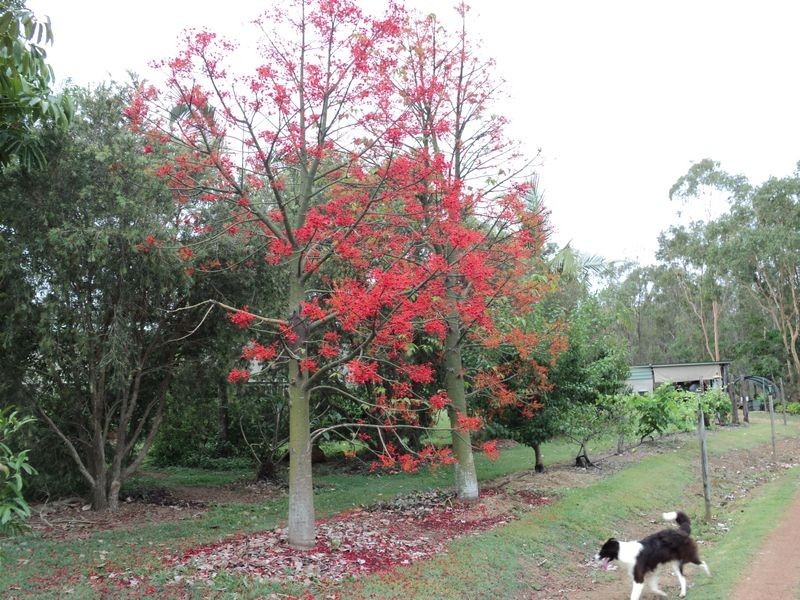 Evelyn Central QLD 4872