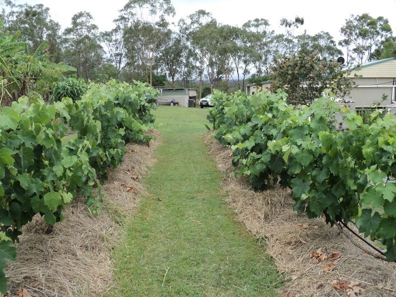 Evelyn Central QLD 4872