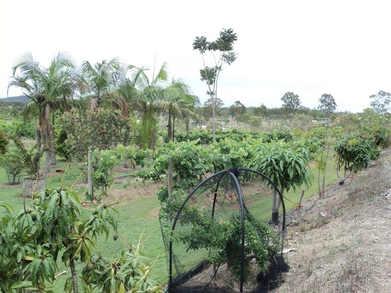 Evelyn Central QLD 4872