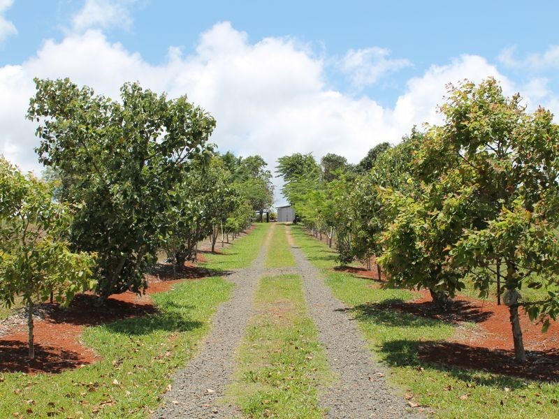 Malanda QLD 4885
