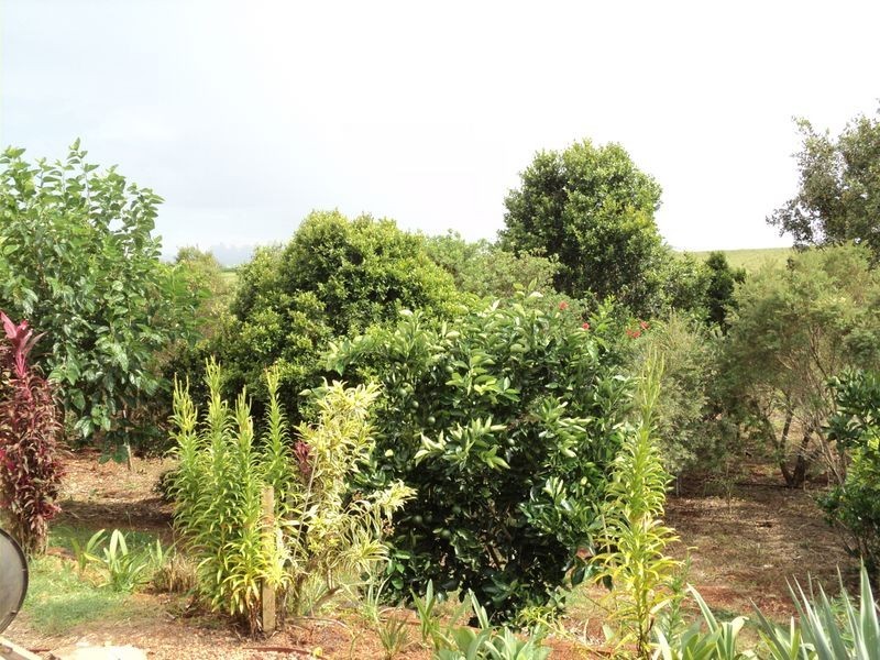 Atherton QLD 4883