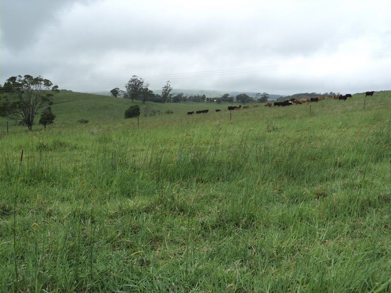 Ravenshoe QLD 4888