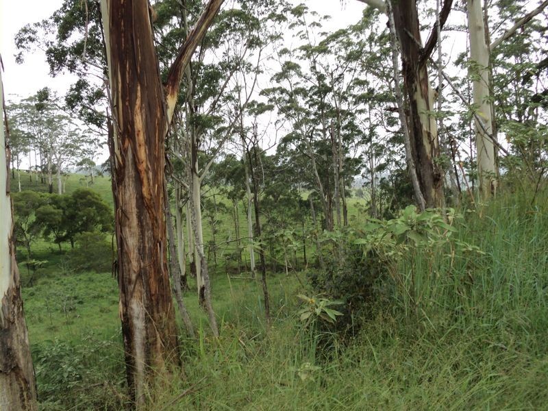 Ravenshoe QLD 4888