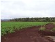 Tolga QLD 4882