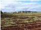 Tolga QLD 4882