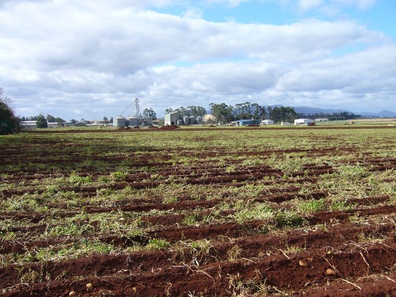Tolga QLD 4882