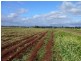 Tolga QLD 4882