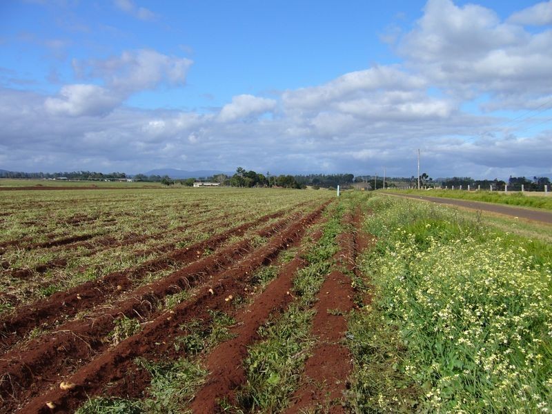 Tolga QLD 4882