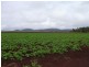 Tolga QLD 4882