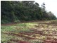Tolga QLD 4882