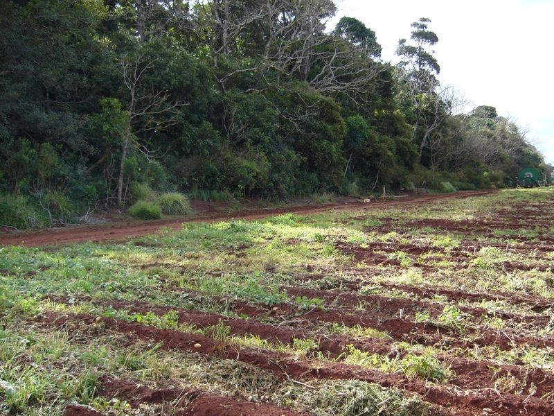 Tolga QLD 4882