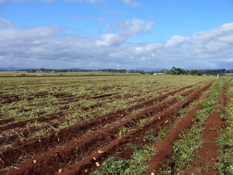 Tolga QLD 4882
