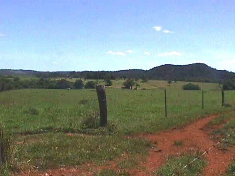 Millaa Millaa QLD 4886