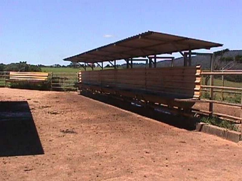 Millaa Millaa QLD 4886