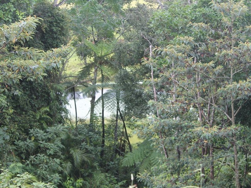 Lot 3 Emerson Road (SV) Peeramon, Malanda QLD 4885