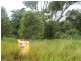 Lot 3 Emerson Road (SV) Peeramon, Malanda QLD 4885