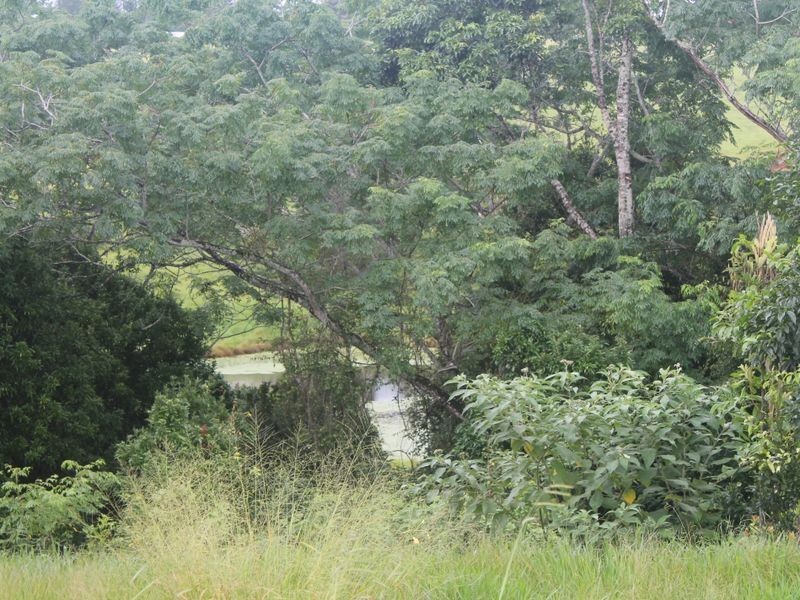 Lot 3 Emerson Road (SV) Peeramon, Malanda QLD 4885