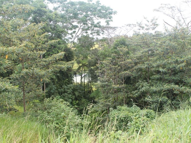 Lot 3 Emerson Road (SV) Peeramon, Malanda QLD 4885
