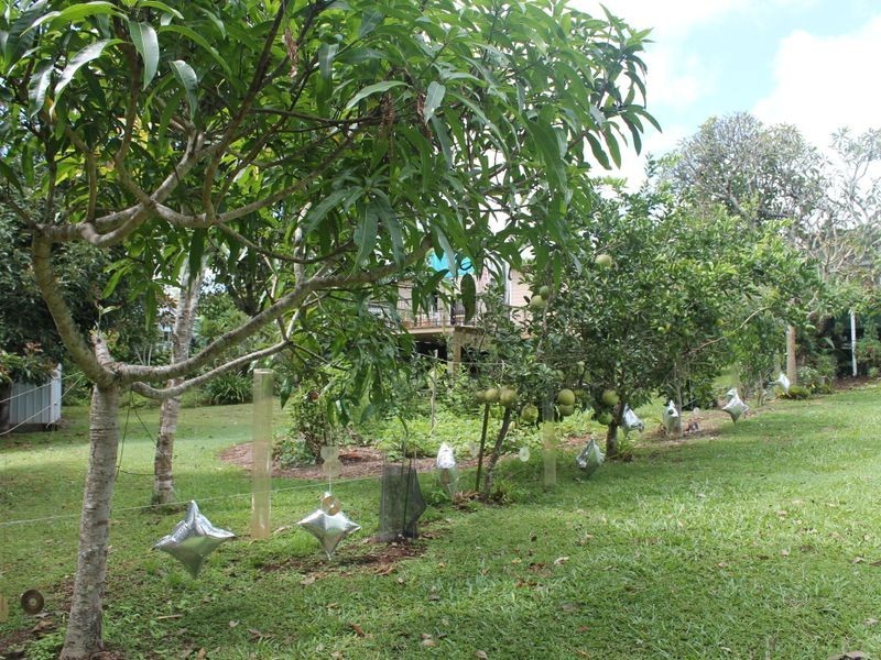Atherton QLD 4883