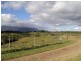 Malanda QLD 4885